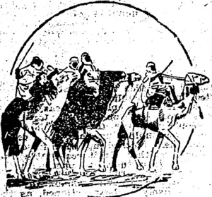 Untitled Illustration (Southland Times, 01 August 1903)