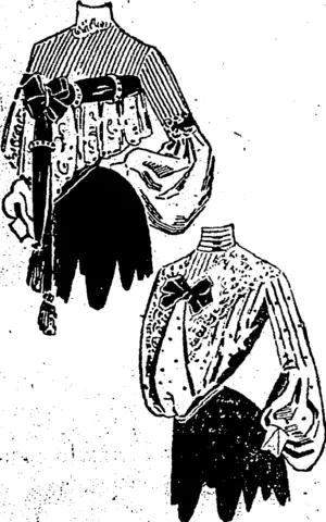 Untitled Illustration (Southland Times, 08 August 1903)