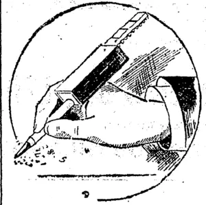Untitled Illustration (Southland Times, 15 August 1903)