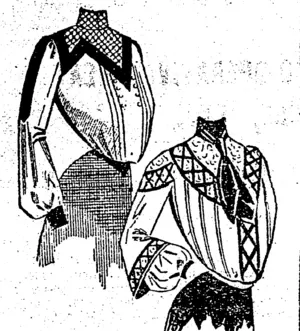 Untitled Illustration (Southland Times, 29 August 1903)