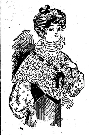 Untitled Illustration (Southland Times, 26 November 1904)