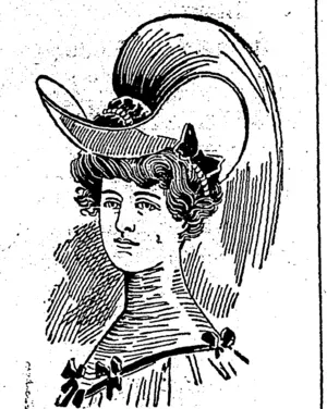 Untitled Illustration (Southland Times, 09 December 1904)