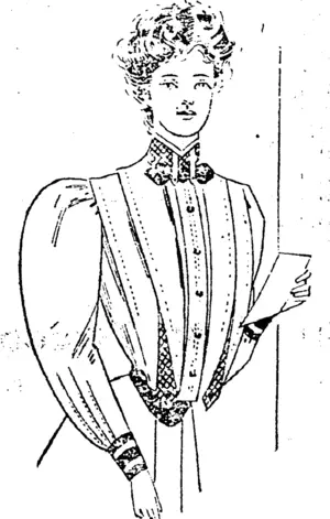 Untitled Illustration (Southland Times, 04 November 1905)