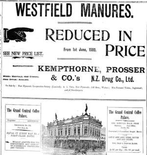 Page 1 Advertisements Column 2 (Taranaki Daily News 9-7-1900)