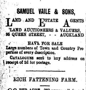 Page 4 Advertisements Column 1 (Taranaki Daily News 16-11-1900)