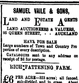 Page 3 Advertisements Column 5 (Taranaki Daily News 13-11-1900)