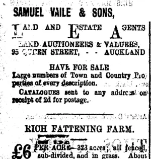 Page 4 Advertisements Column 1 (Taranaki Daily News 30-11-1900)