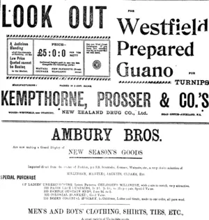 Page 1 Advertisements Column 3 (Taranaki Daily News 21-3-1901)