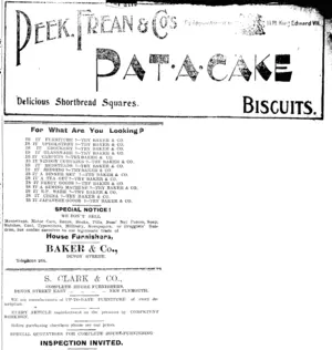 Page 4 Advertisements Column 6 (Taranaki Daily News 4-1-1905)