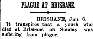 PLAGUE AT BRISBANE. (Taranaki Daily News 7-1-1905)