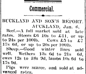 Commercial. (Taranaki Daily News 9-1-1905)