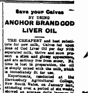 Page 4 Advertisements Column 8 (Taranaki Daily News 14-1-1905)