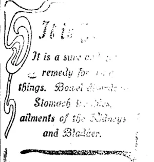 Page 4 Advertisements Column 1 (Taranaki Daily News 17-1-1905)
