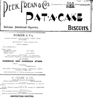 Page 4 Advertisements Column 4 (Taranaki Daily News 17-1-1905)