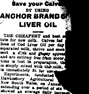 Page 4 Advertisements Column 7 (Taranaki Daily News 11-1-1905)