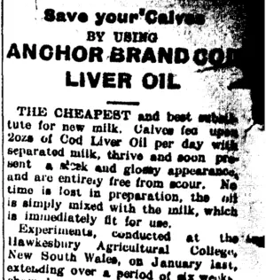 Page 4 Advertisements Column 7 (Taranaki Daily News 12-1-1905)