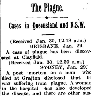 The Plague. (Taranaki Daily News 30-1-1905)