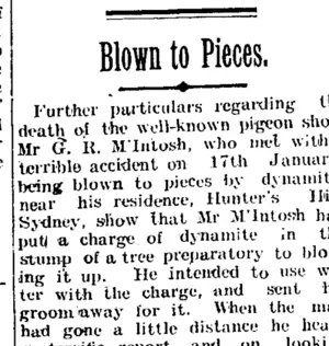 Blown to Pieces. (Taranaki Daily News 30-1-1905)