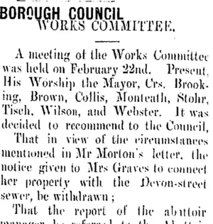 BOROUGH COUNCIL. (Taranaki Daily News 23-2-1906)