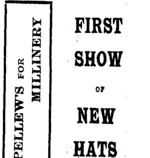 Page 1 Advertisements Column 8 (Taranaki Daily News 19-4-1906)