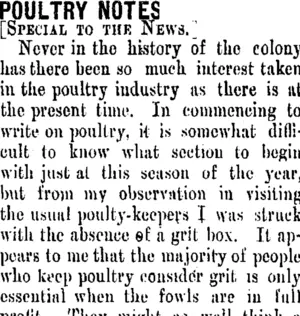POULTRY NOTES. (Taranaki Daily News 19-4-1906)