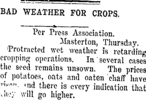 BAD WEATHER FOR CROPS. (Taranaki Daily News 25-10-1907)