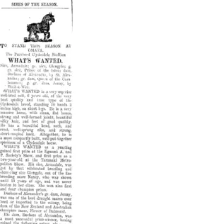 Page 4 Advertisements Column 6 (Taranaki Daily News 25-10-1907)