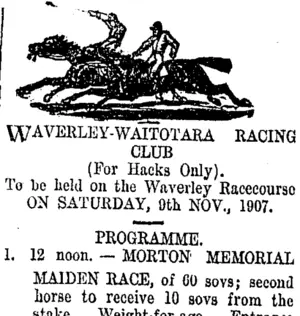 Page 4 Advertisements Column 8 (Taranaki Daily News 25-10-1907)