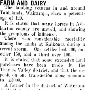 FARM AND DAIRY. (Taranaki Daily News 26-10-1907)