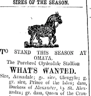 Page 4 Advertisements Column 6 (Taranaki Daily News 22-10-1907)