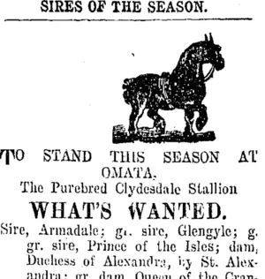 Page 4 Advertisements Column 6 (Taranaki Daily News 4-11-1907)