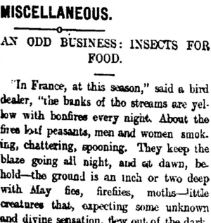 MISCELLANEOUS. (Taranaki Daily News 5-11-1907)