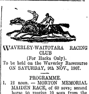 Page 4 Advertisements Column 8 (Taranaki Daily News 5-11-1907)