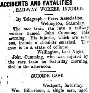 ACCIDENTS AND FATALITIES. (Taranaki Daily News 19-7-1909)