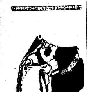 Page 4 Advertisements Column 1 (Taranaki Daily News 8-12-1909)