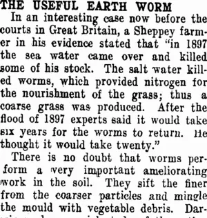 THE USEFUL EARTH WORM (Taranaki Daily News 30-4-1910)