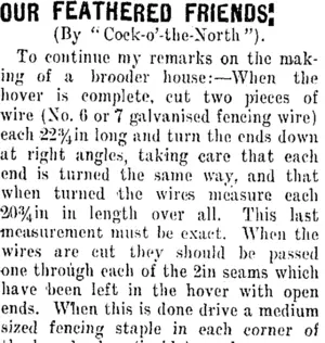 OUR FEATHERED FRIENDS (Taranaki Daily News 28-10-1911)