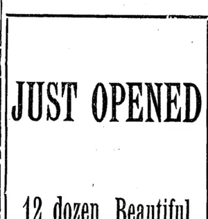 Page 1 Advertisements Column 5 (Taranaki Daily News 16-11-1911)