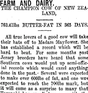 FARM AND DAIRY. (Taranaki Daily News 25-11-1914)