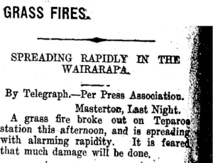 GRASS FIRES. (Taranaki Daily News 26-1-1915)