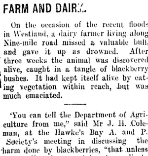 FARM AND DAIRY. (Taranaki Daily News 27-1-1915)