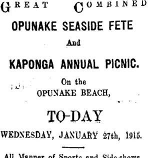 Page 1 Advertisements Column 2 (Taranaki Daily News 27-1-1915)