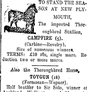 Page 3 Advertisements Column 4 (Taranaki Daily News 31-10-1916)