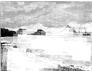 VIJEW OF1 THE STJG-A.R, LOAVES-1884. (Taranaki Herald, 02 July 1891)