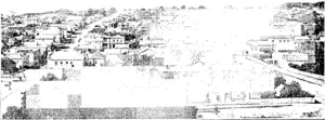 JSTEAV FLY-MOUTH, LOOKI3STG- JSASTWARD. (Taranaki Herald, 02 July 1891)