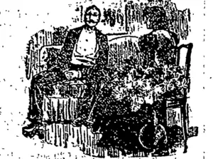 Untitled Illustration (Taranaki Herald, 20 February 1891)