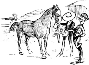 Second time of asking. 4< My word, that's a real hummer of a mounted infantry hoi'se. twenty-five pounds. There yon are ; let's have him before you double the price." And he was sold accordingly. (Observer, 08 March 1902)