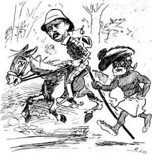 THROUGH DARKEST MAORILANH.  His Excellency the Governor, Lord Ranfurly, mounted on a grey and accompanied by a faithful Maori gillie, traversed the wilds of Rttatoki. (Sketched by our faithful artist on the spot.) . . . " (Observer, 26 March 1904)