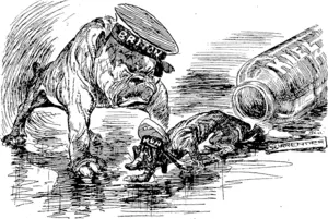 December 7, 1918.] OUT! One of those bull-dog cartoons that so appealed to the popular imagination. You will see that the kuri is the same animal previously depicted in an anxious state of mind, fearing that the rat would not emerge. He emerged in a disgustingly tame manner. The Germans forever said that its fleet was always wearing out its bottom on the ocean looking for the Craven Bull and never finding him. It found him leading gigantic German Dreadnoughts home to Britain with a little terrier ship ahead. (Observer, 20 September 1919)