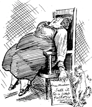 The young lady who sent ten shillings in answer to the advertisement "How to get rid of your surplus fat.'1 (Observer, 10 January 1920)